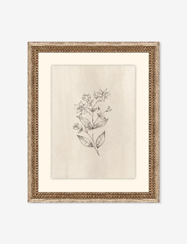 Elegant Botanical VII Wall Art by Makai Howell