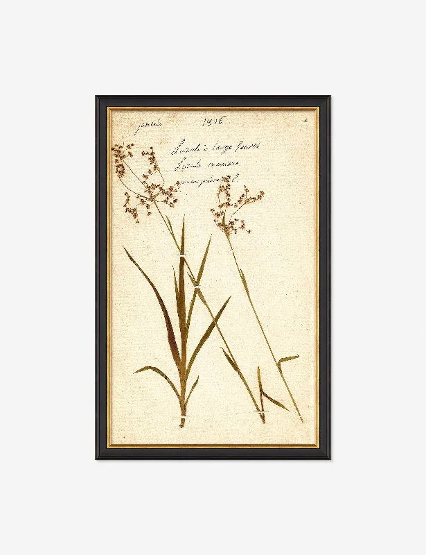 Herbarium E Wall Art