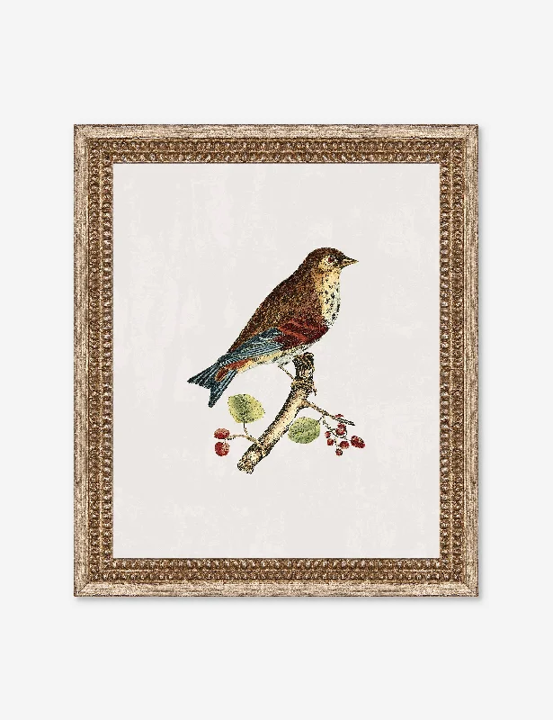 Small Birds I Wall Art by Old World