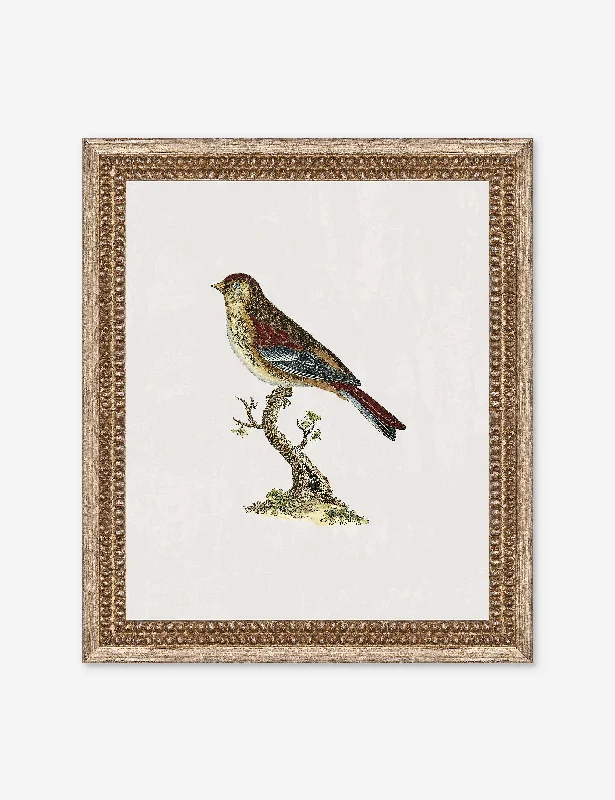 Small Birds II Wall Art by Old World