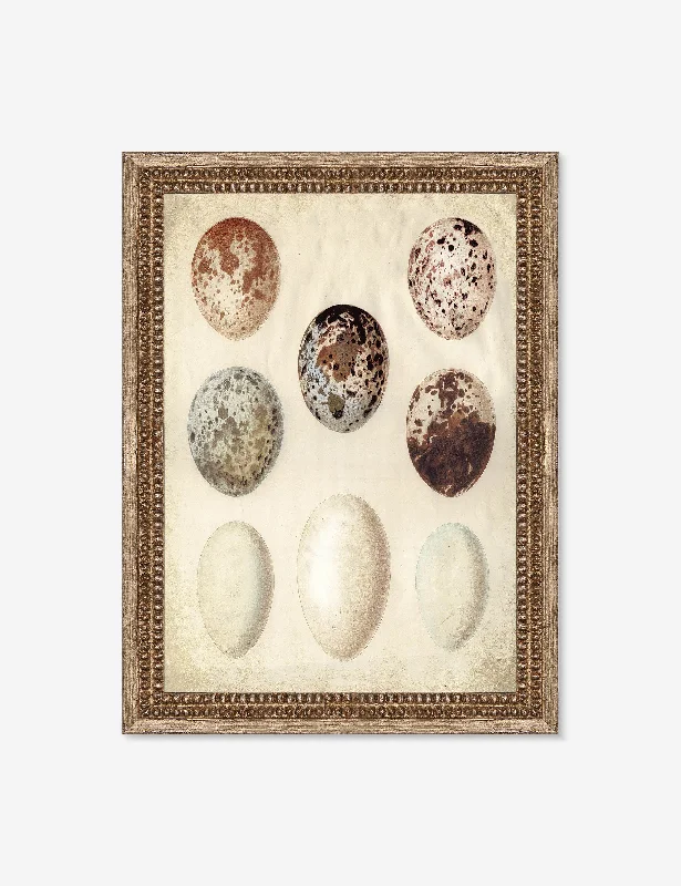 Speckled Egg I Wall Art by Helen Parker