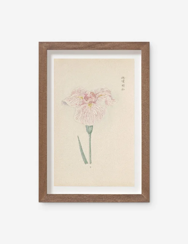 Vintage Japanese Iris No. 17 Wall Art by Miyoshi Manabu