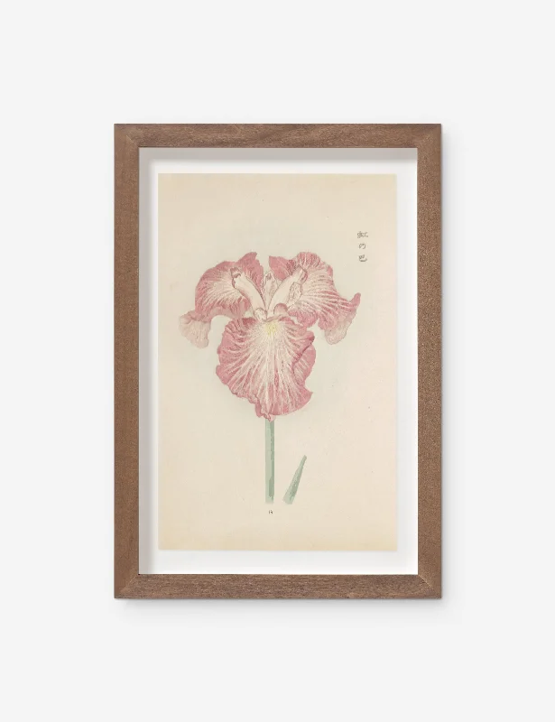 Vintage Japanese Iris No. 18 Wall Art by Miyoshi Manabu