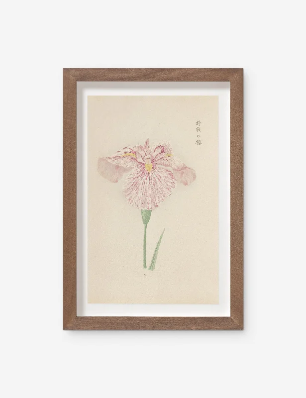 Vintage Japanese Iris No. 20 Wall Art by Miyoshi Manabu