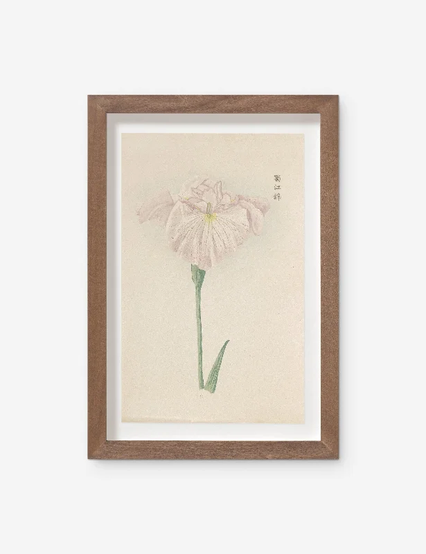 Vintage Japanese Iris No. 22 Wall Art by Miyoshi Manabu