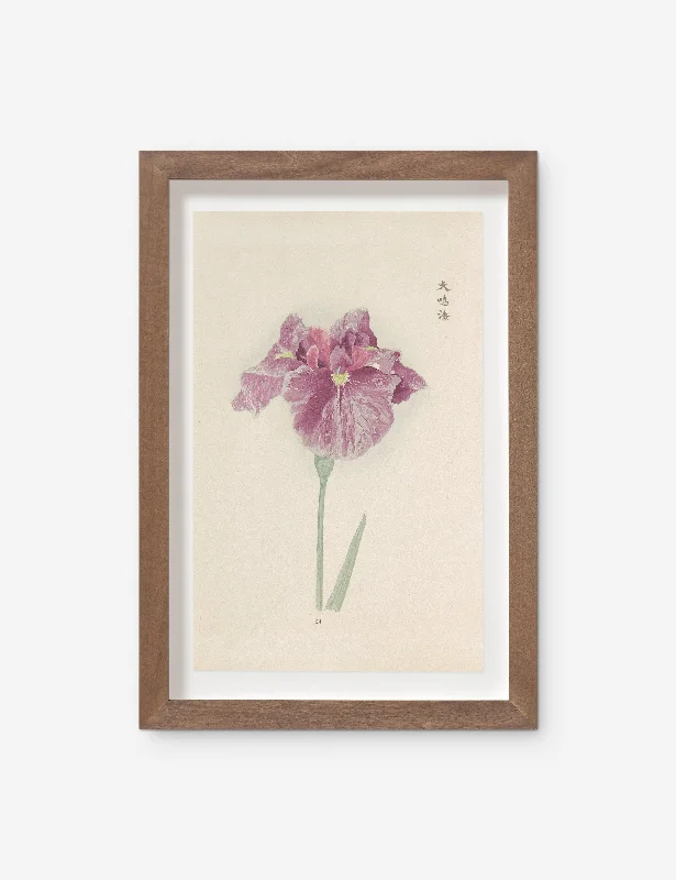 Vintage Japanese Iris No. 24 Wall Art by Miyoshi Manabu