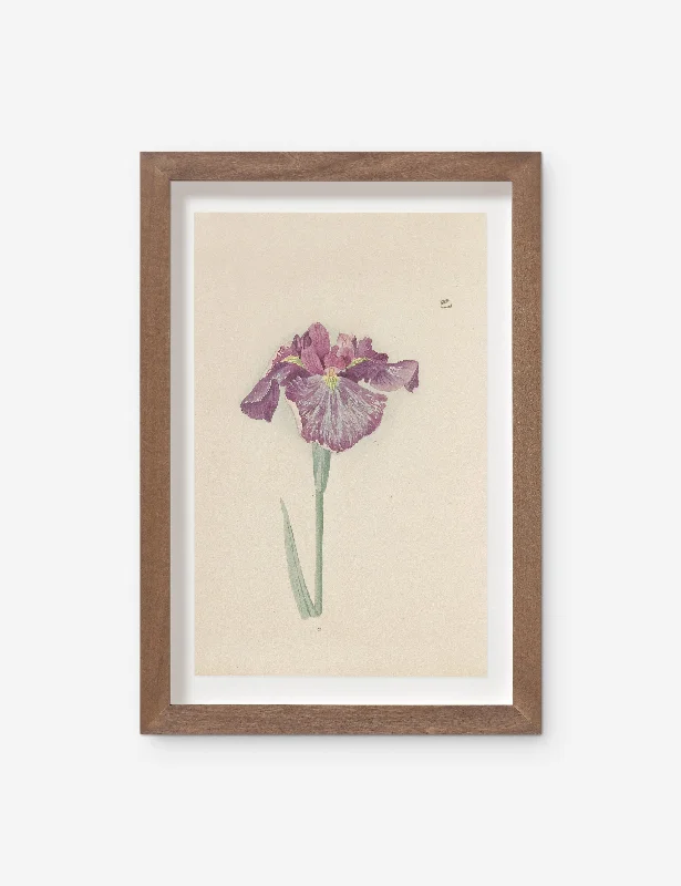 Vintage Japanese Iris No. 28 Wall Art by Miyoshi Manabu