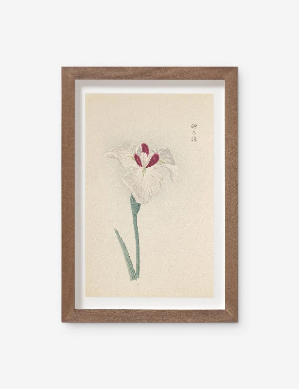 Vintage Japanese Iris No. 31 Wall Art by Miyoshi Manabu