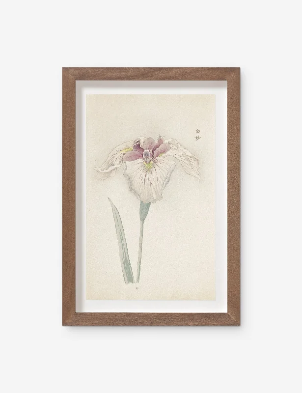 Vintage Japanese Iris No. 33 Wall Art by Miyoshi Manabu