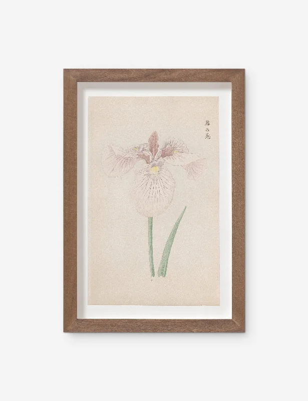 Vintage Japanese Iris No. 34 Wall Art by Miyoshi Manabu