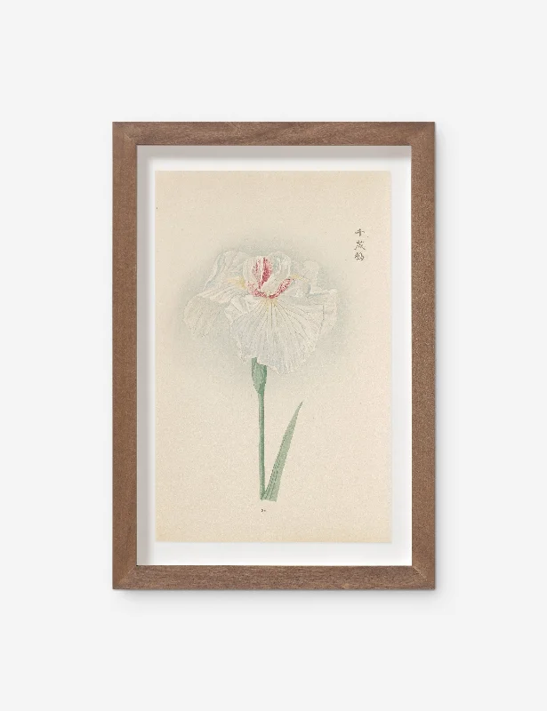 Vintage Japanese Iris No. 35 Wall Art by Miyoshi Manabu