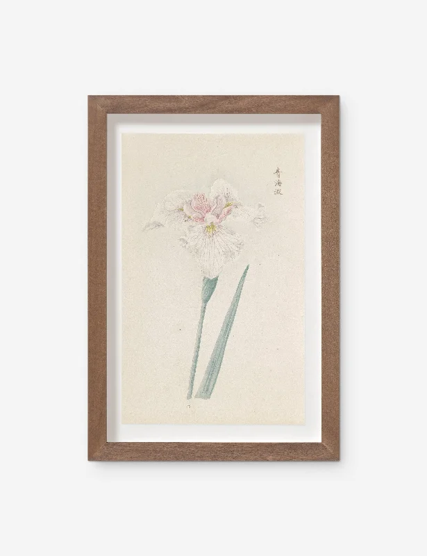 Vintage Japanese Iris No. 36 Wall Art by Miyoshi Manabu