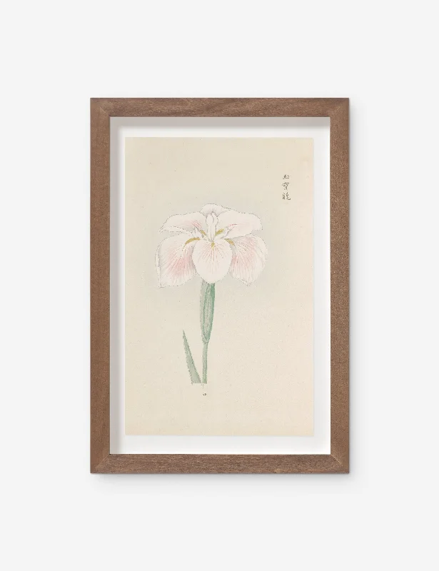 Vintage Japanese Iris No. 48 Wall Art by Miyoshi Manabu