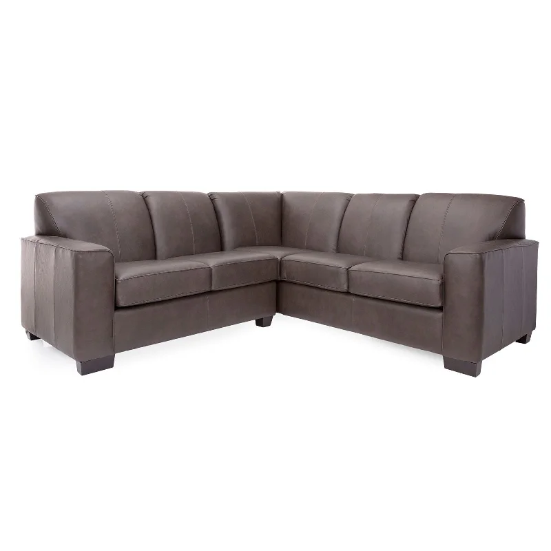 3705 Sectional - Leather