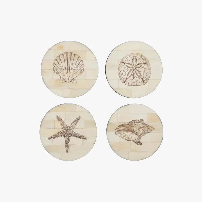 Scrimshaw Shell Coaster Set